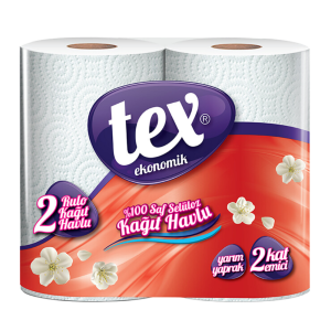 Tex Towel Paper 2 Roll (100 Sheets)